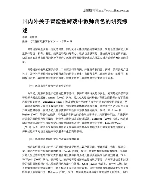 国内外关于冒险性游戏中教师角色的研究综述