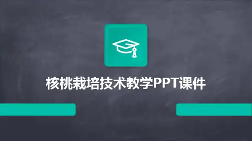 2024核桃栽培技术教学PPT课件
