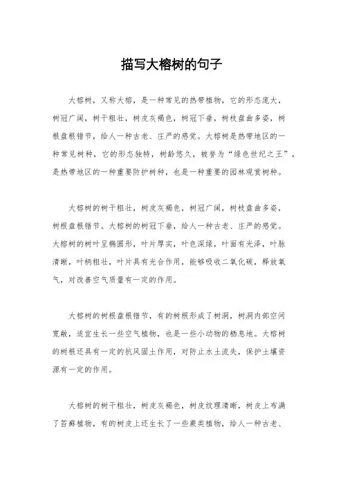 描写大榕树的句子