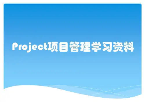 Project项目管理学习资料