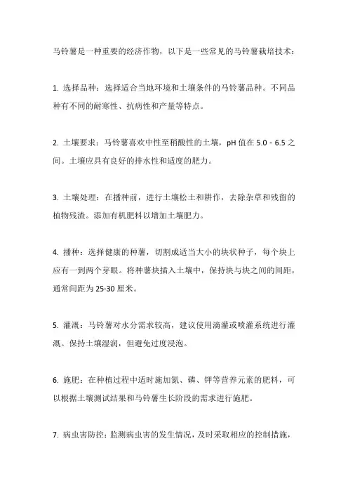 马龄薯栽培技术