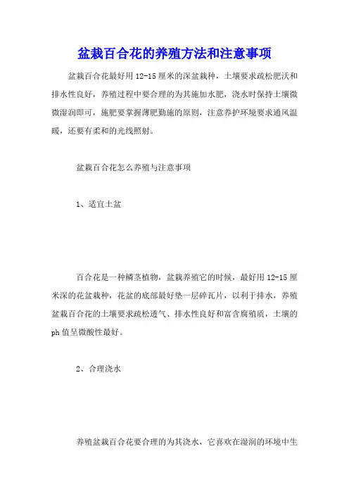 盆栽百合花的养殖方法和注意事项