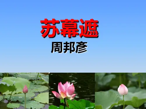 《苏幕遮(燎沉香)》剖析PPT课件