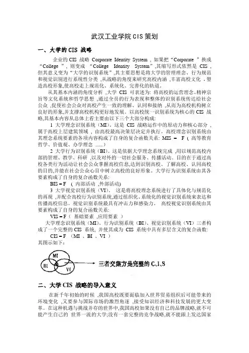 大学CIS策划案