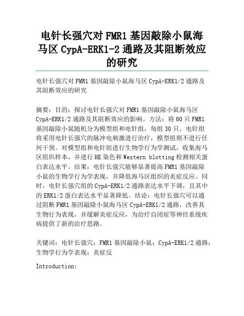 电针长强穴对FMR1基因敲除小鼠海马区CypA-ERK1-2通路及其阻断效应的研究