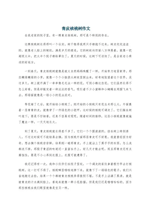 青皮核桃树作文