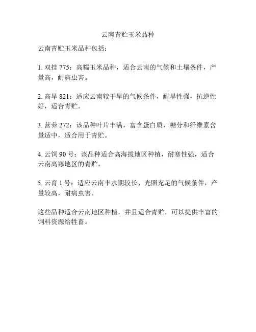 云南青贮玉米品种