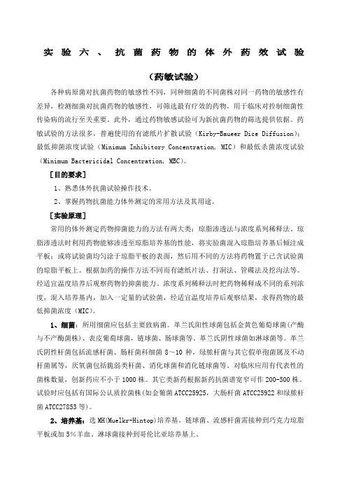 实验六、抗菌药物的体外药效试验