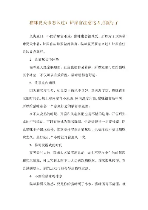 猫咪夏天该怎么过？铲屎官注意这5点就行了