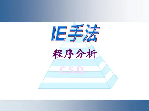 IE手法-程序分析