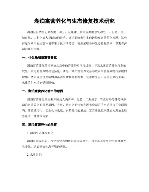 湖泊富营养化与生态修复技术研究
