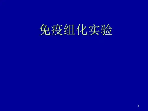 免疫组织化学技术