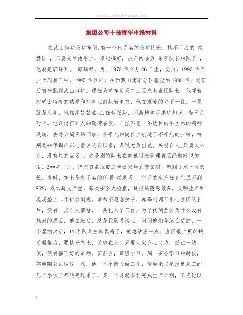 集团公司十佳青年申报材料