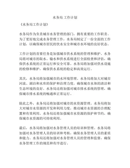 水务局 工作计划