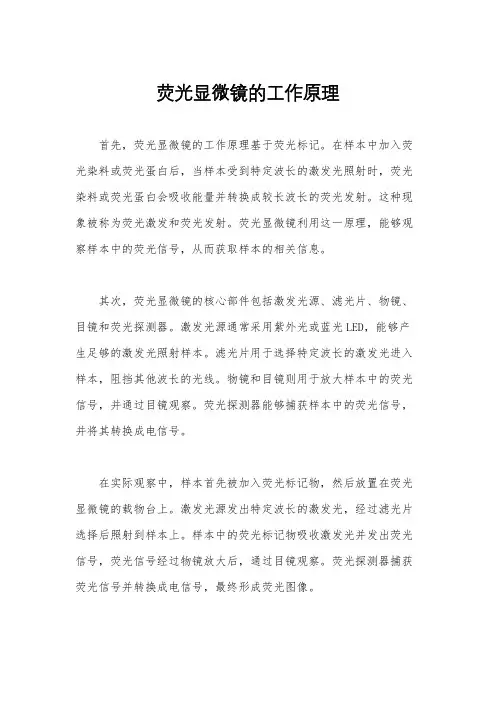 荧光显微镜的工作原理