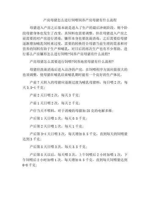 产房母猪怎么进行饲喂饲养产房母猪有什么流程