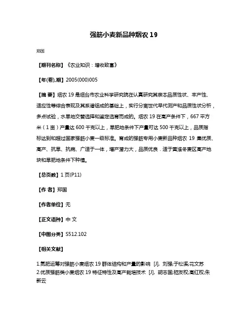 强筋小麦新品种烟农19