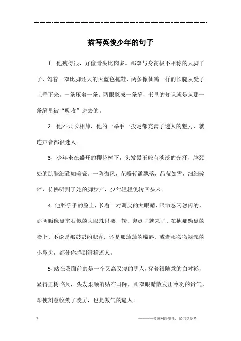 描写英俊少年的句子