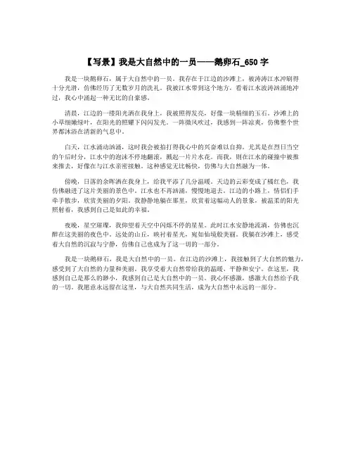 【写景】我是大自然中的一员——鹅卵石_650字