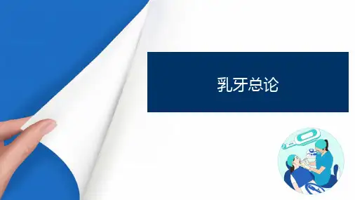 乳牙及年轻恒牙的解剖形态与组织结构特点 乳牙总论