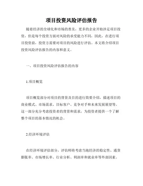 项目投资风险评估报告