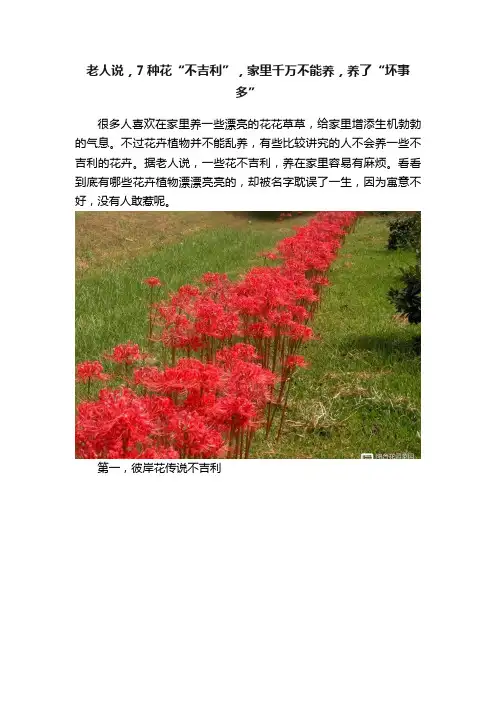老人说，7种花“不吉利”，家里千万不能养，养了“坏事多”