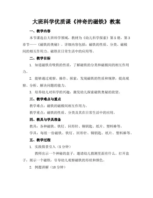 大班科学优质课《神奇的磁铁》教案