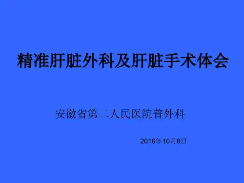 精准肝脏外科及肝脏手术体会