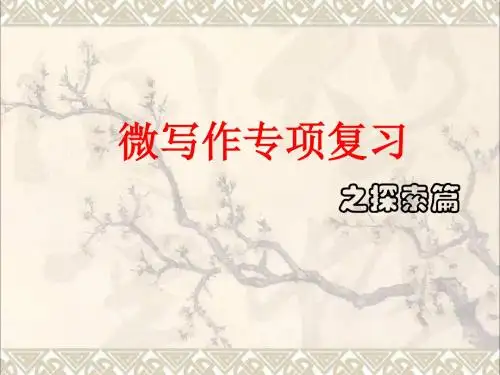 2017年中考语文微写作专项复习课件