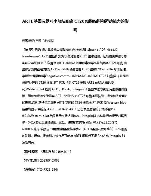ART1基因沉默对小鼠结肠癌CT26细胞黏附和运动能力的影响