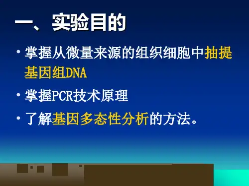 ACE基因的多态性教程文件