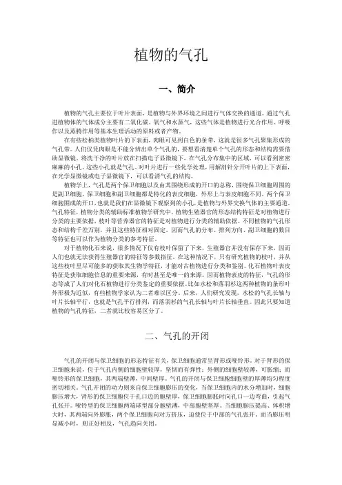 植物的气孔