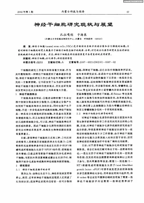 神经干细胞研究现状与展望
