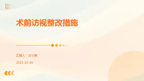 术前访视整改措施
