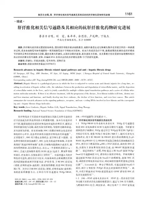 肝纤维化相关信号通路及其相应的抗肝纤维化药物研究进展