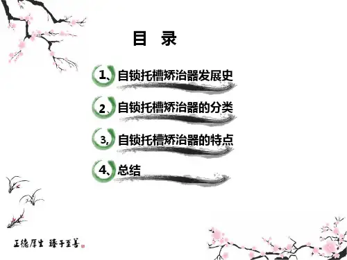 自锁托槽课件ppt