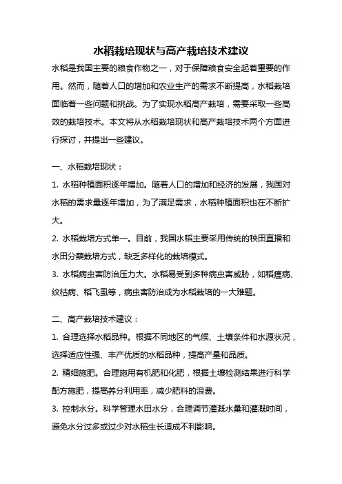水稻栽培现状与高产栽培技术建议