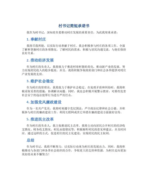 村书记简短承诺书