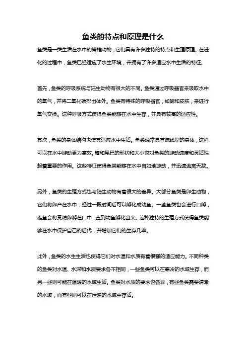 鱼类的特点和原理是什么