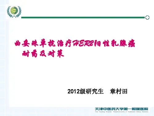 曲妥珠单抗治疗HER2阳性乳腺癌的机制耐药及对策