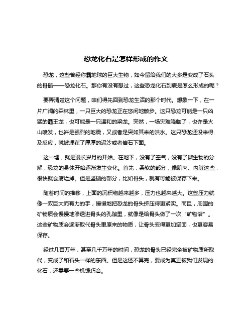 恐龙化石是怎样形成的作文
