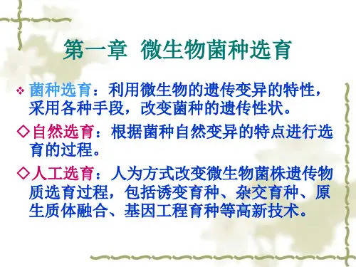 发酵工程(菌种选育)重点