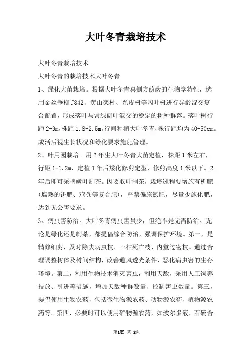 大叶冬青栽培技术