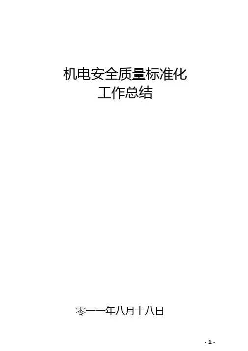 机电安全质量标准化总结
