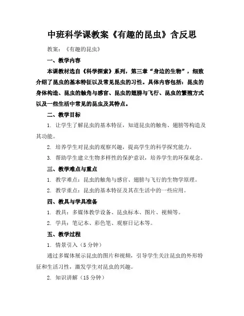 中班科学课教案《有趣的昆虫》含反思