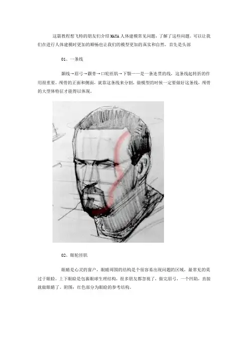 MAYA人体建模常见问题分析