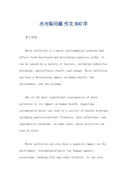 水污染问题 作文800字
