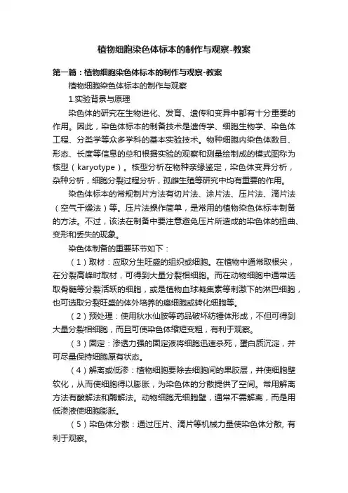 植物细胞染色体标本的制作与观察-教案