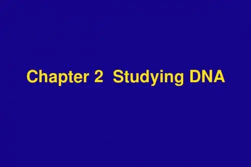 分子生物学(DNA概述、PCR、DNA克隆、内切酶)