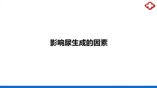 生理学实验指导—影响尿生成的因素(生理学课件)